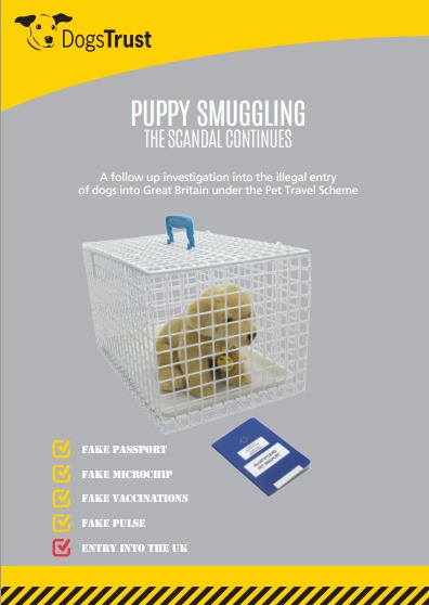 THE EUROPEAN PUPPY SMUGGLING SCANDAL CONTINUES